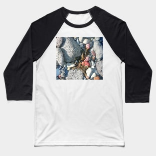 Rocks and Seaweed stilllife Baseball T-Shirt